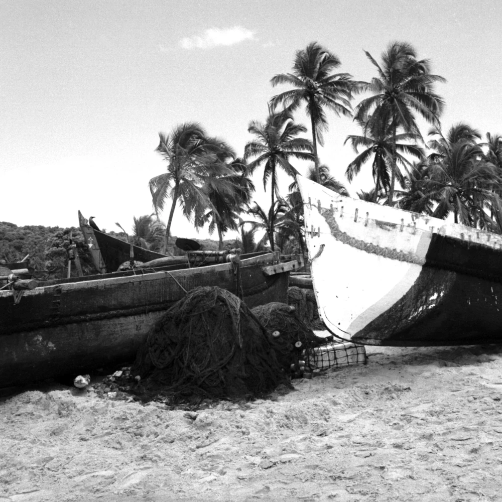 Goa