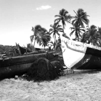 Boats