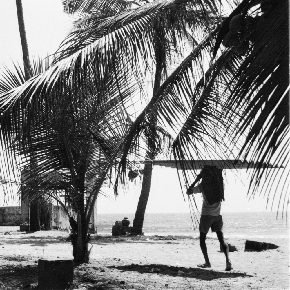 Goa