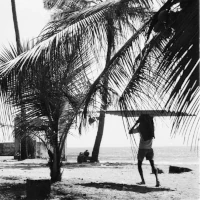 Goa