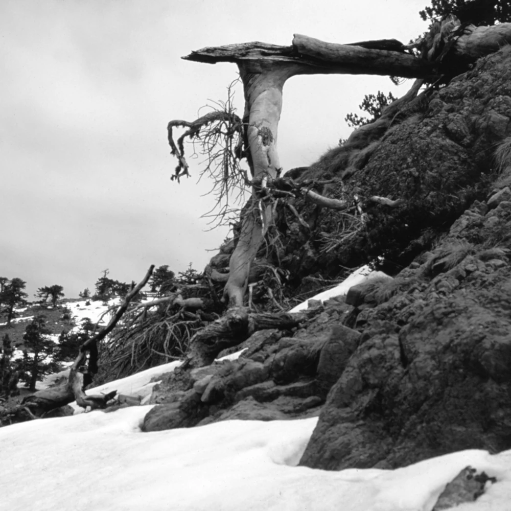 Pindos