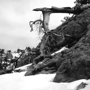 Pindos