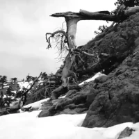 Pindos